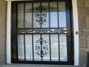 STORM DOOR